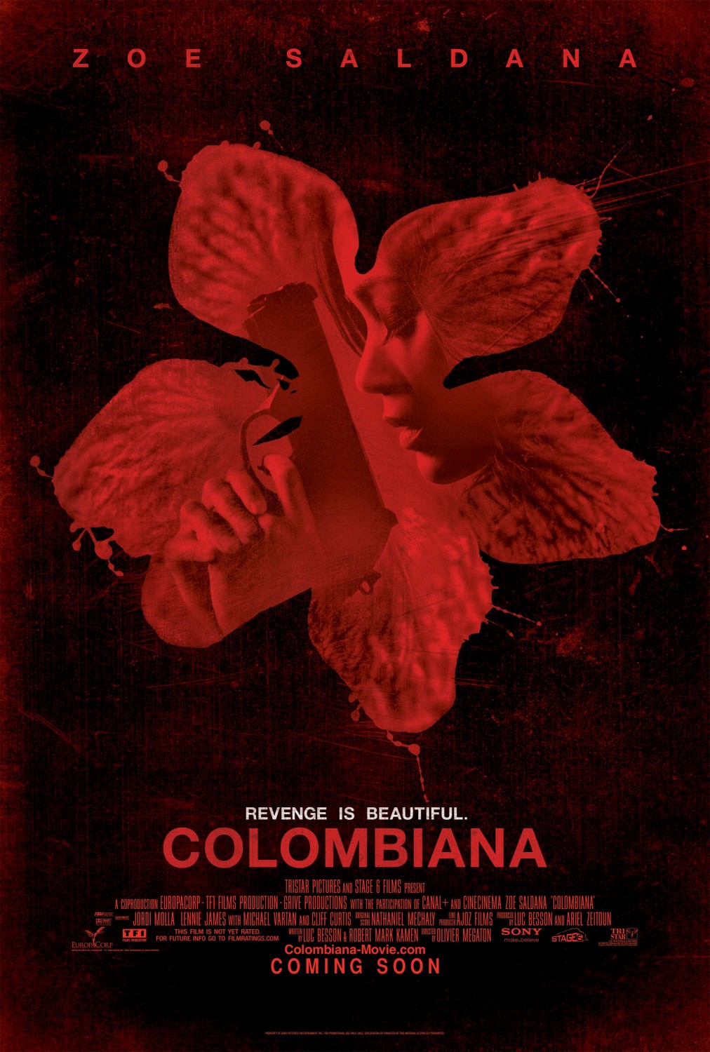 Extra Large Movie Poster Image for Colombiana (#2 of 5)