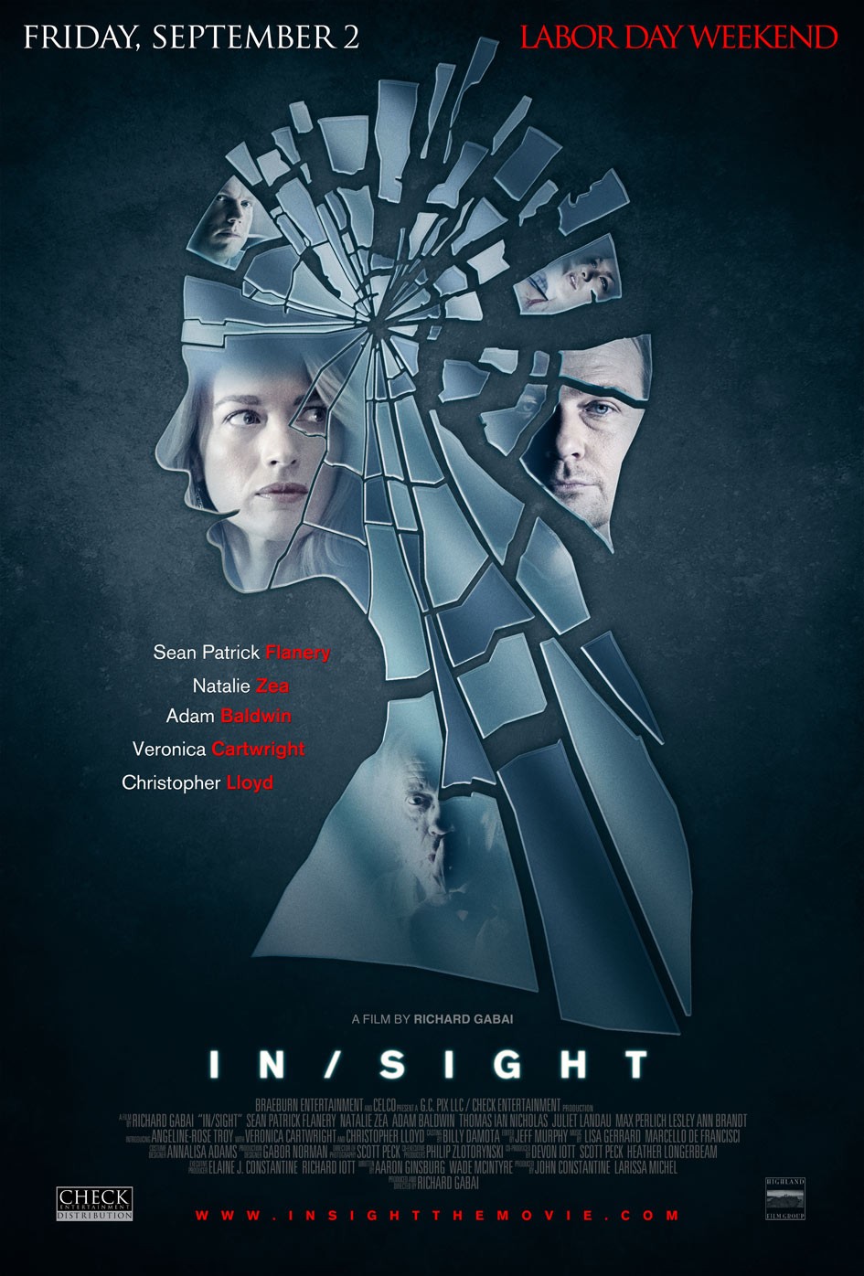 Extra Large Movie Poster Image for InSight 