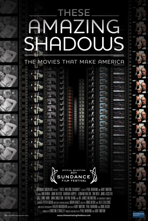 These Amazing Shadows Movie Poster