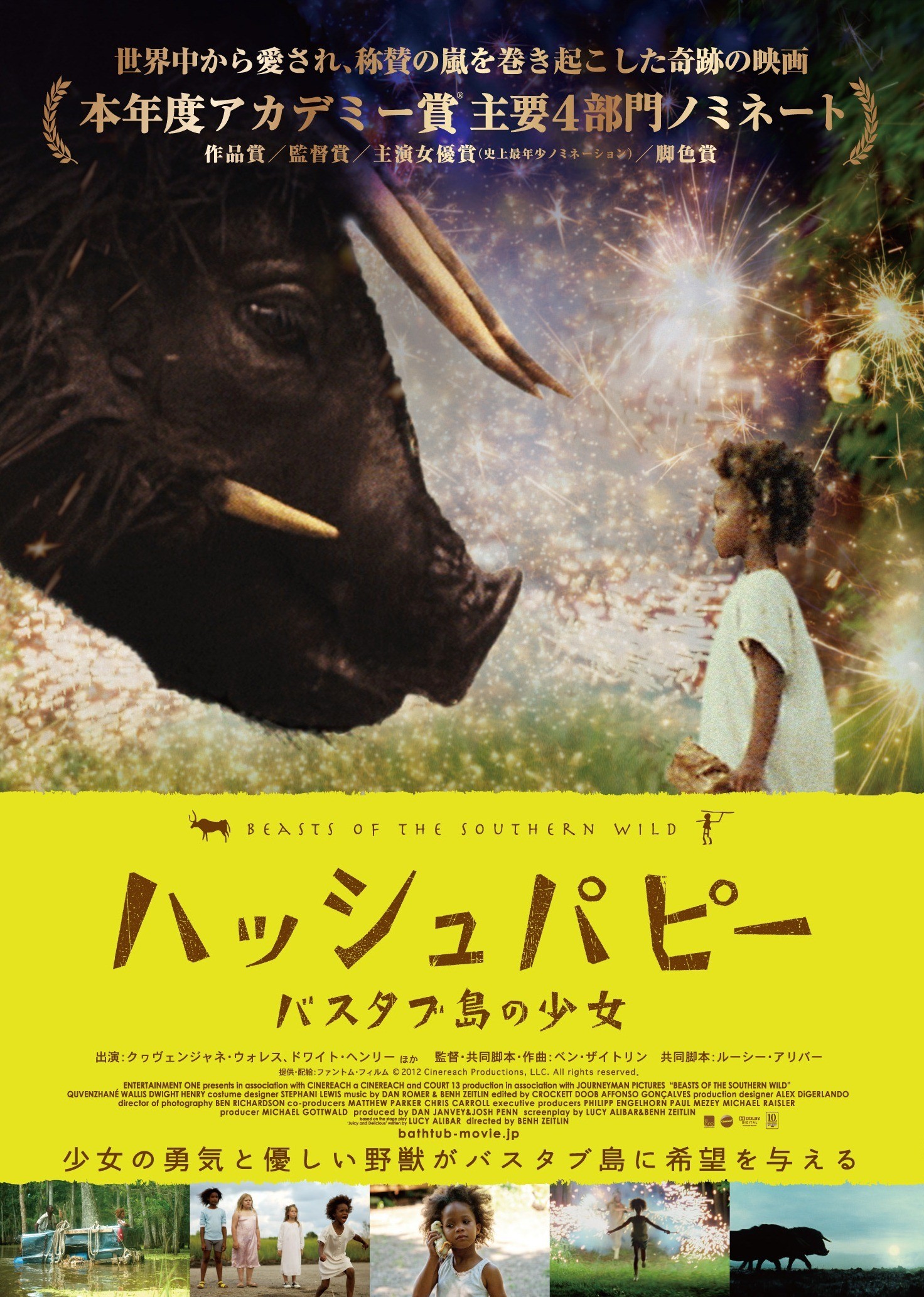 Mega Sized Movie Poster Image for Beasts of the Southern Wild (#4 of 5)