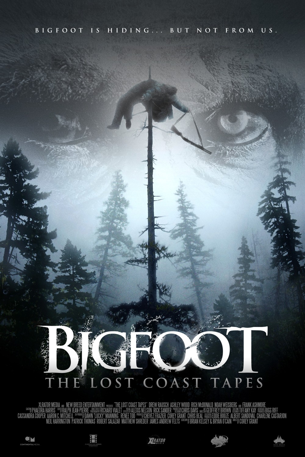 Extra Large Movie Poster Image for Bigfoot: The Lost Coast Tapes 