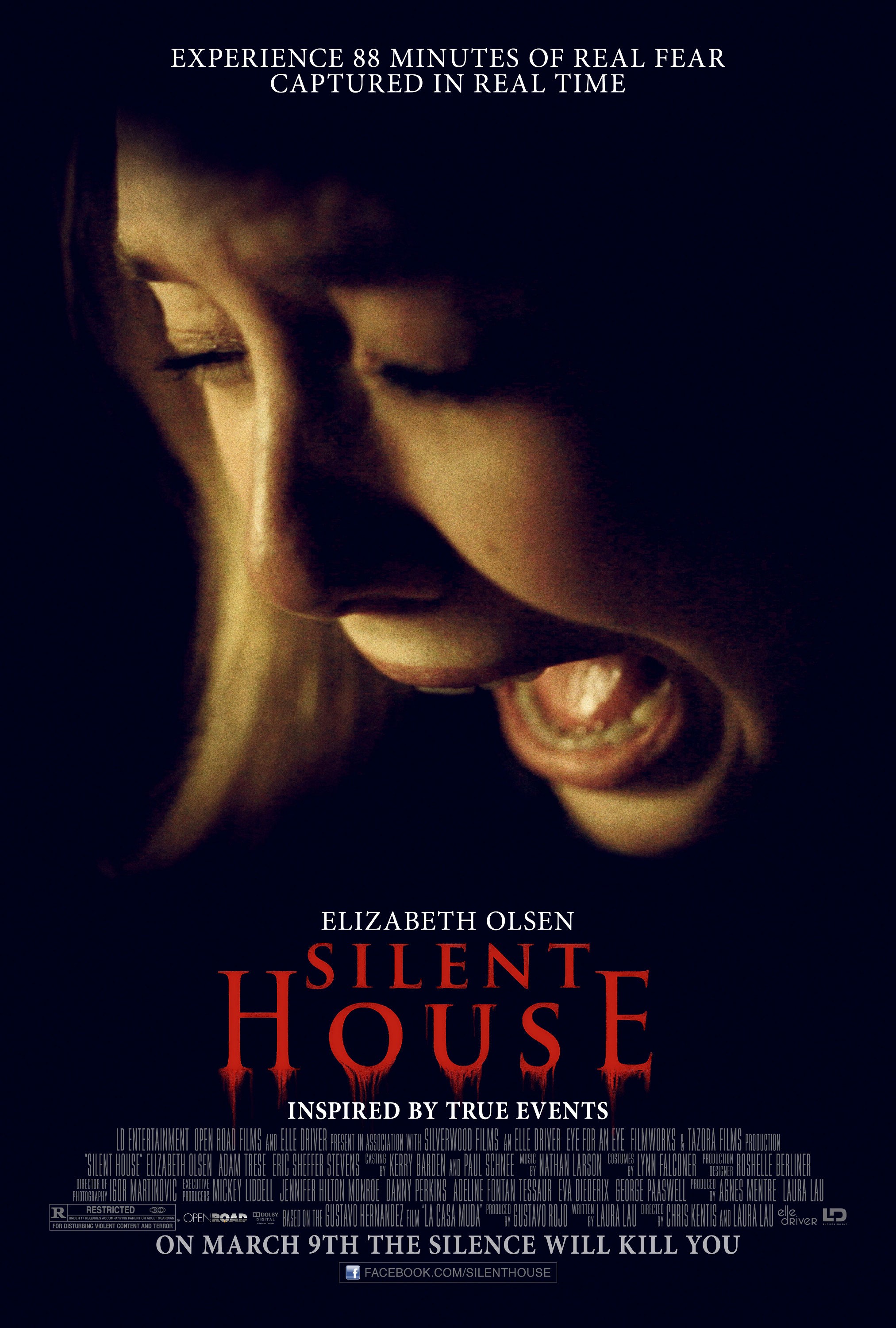 Mega Sized Movie Poster Image for Silent House (#1 of 2)