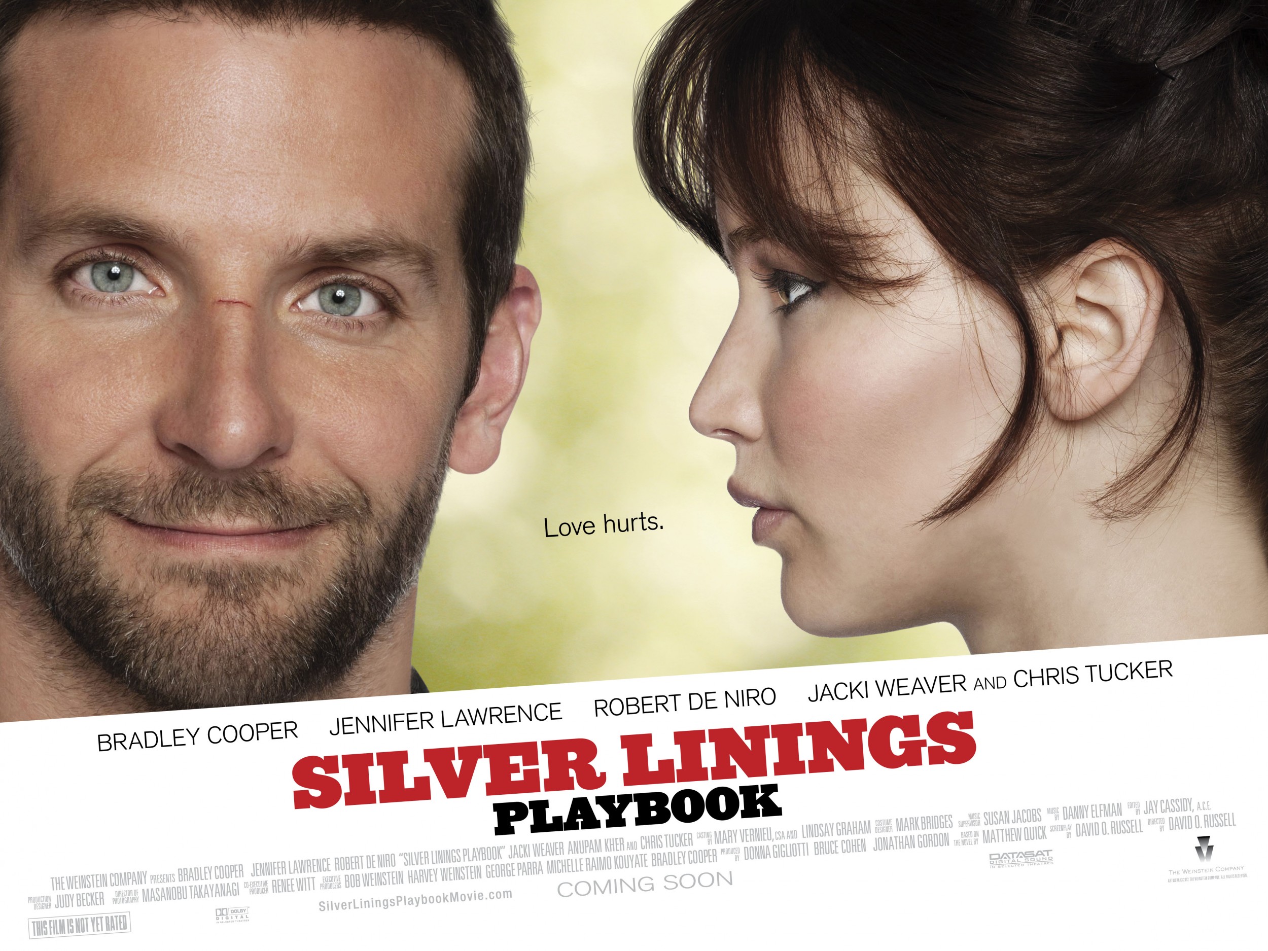 Mega Sized Movie Poster Image for Silver Linings Playbook (#2 of 6)