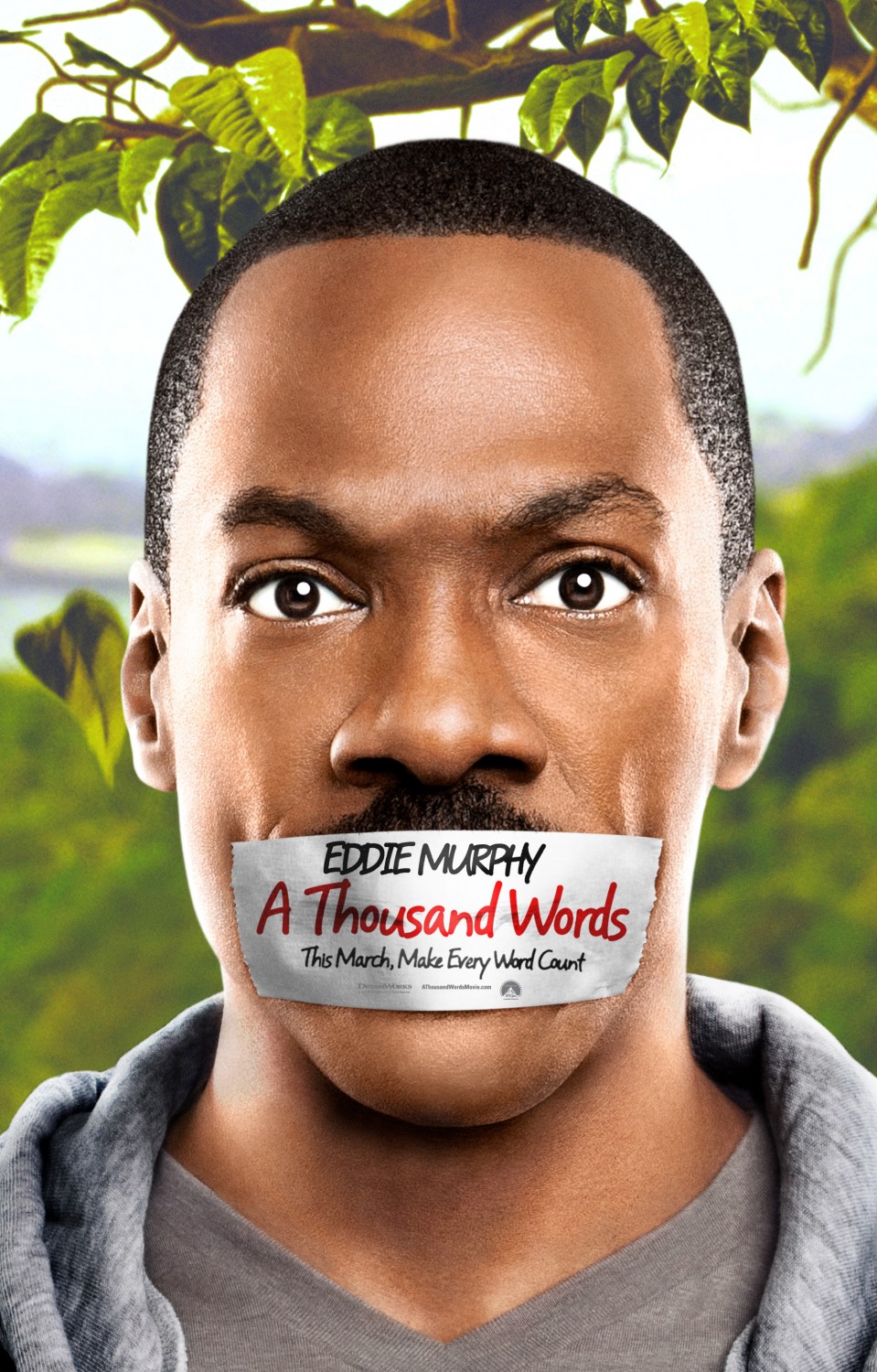 Extra Large Movie Poster Image for A Thousand Words (#1 of 2)