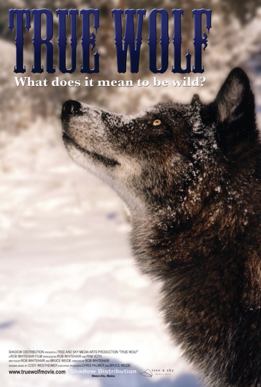 True Wolf Movie Poster