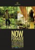 Now, Forager (2012) Thumbnail