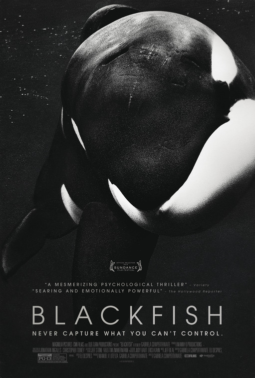 blackfish.jpg