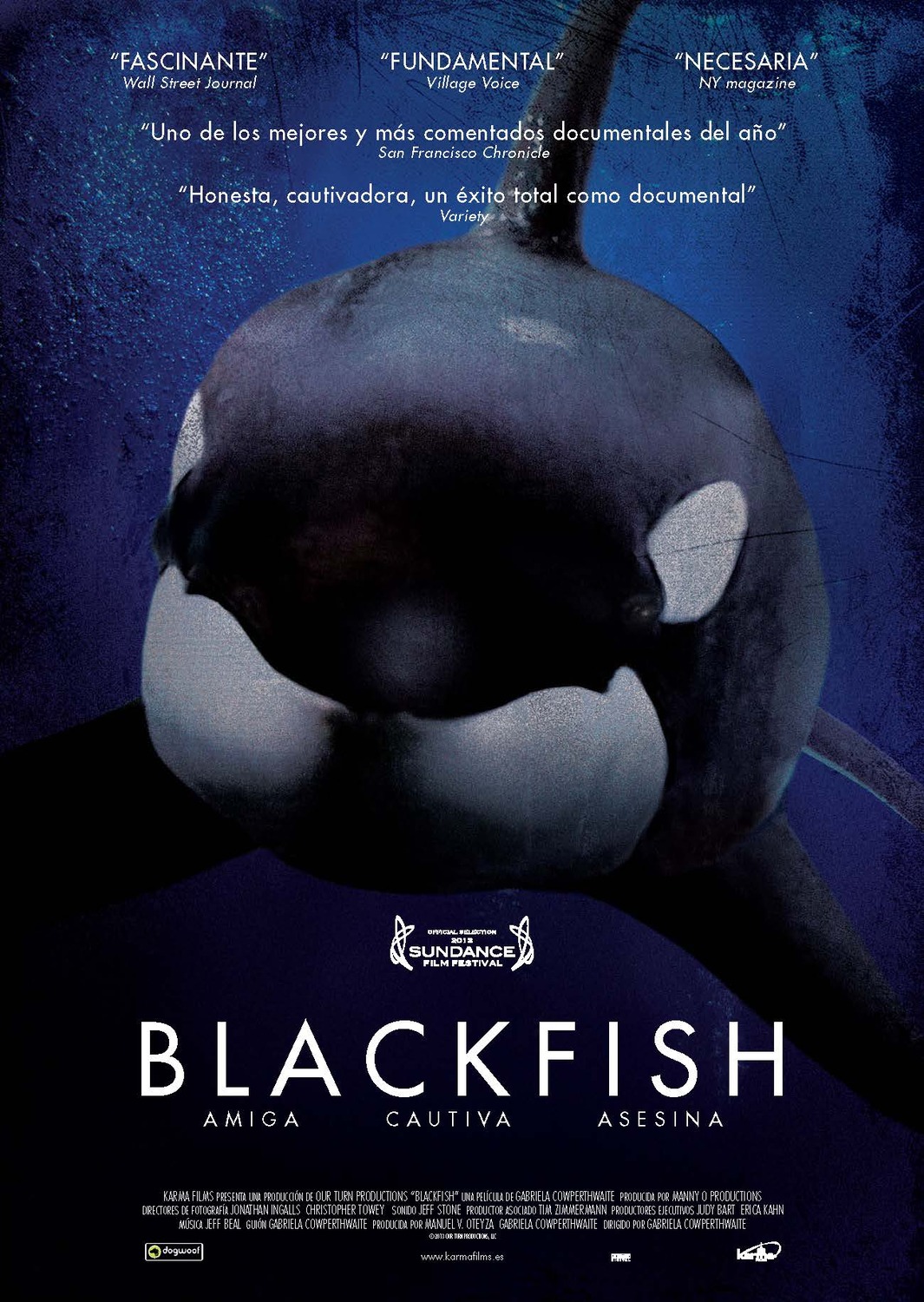 Extra Large Movie Poster Image for Blackfish (#3 of 3)