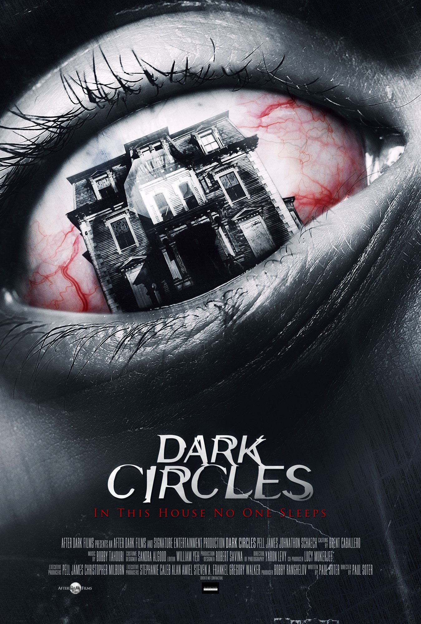 Mega Sized Movie Poster Image for Dark Circles 