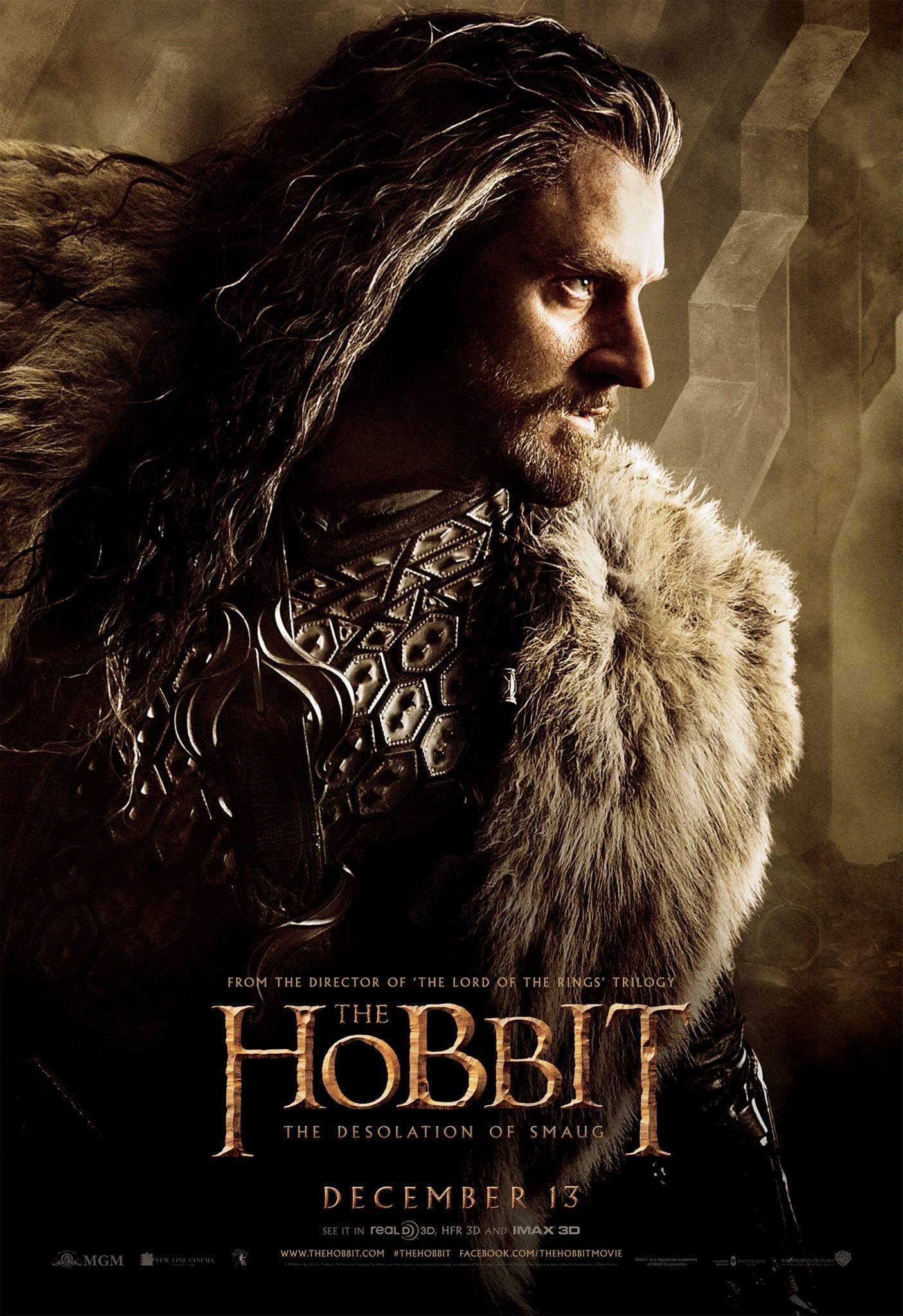 Mega Sized Movie Poster Image for The Hobbit: The Desolation of Smaug (#12 of 33)