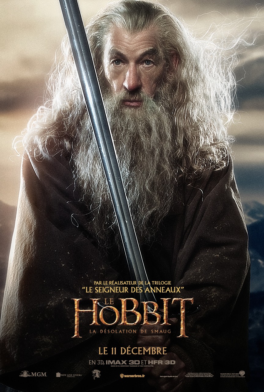 Extra Large Movie Poster Image for The Hobbit: The Desolation of Smaug (#17 of 33)