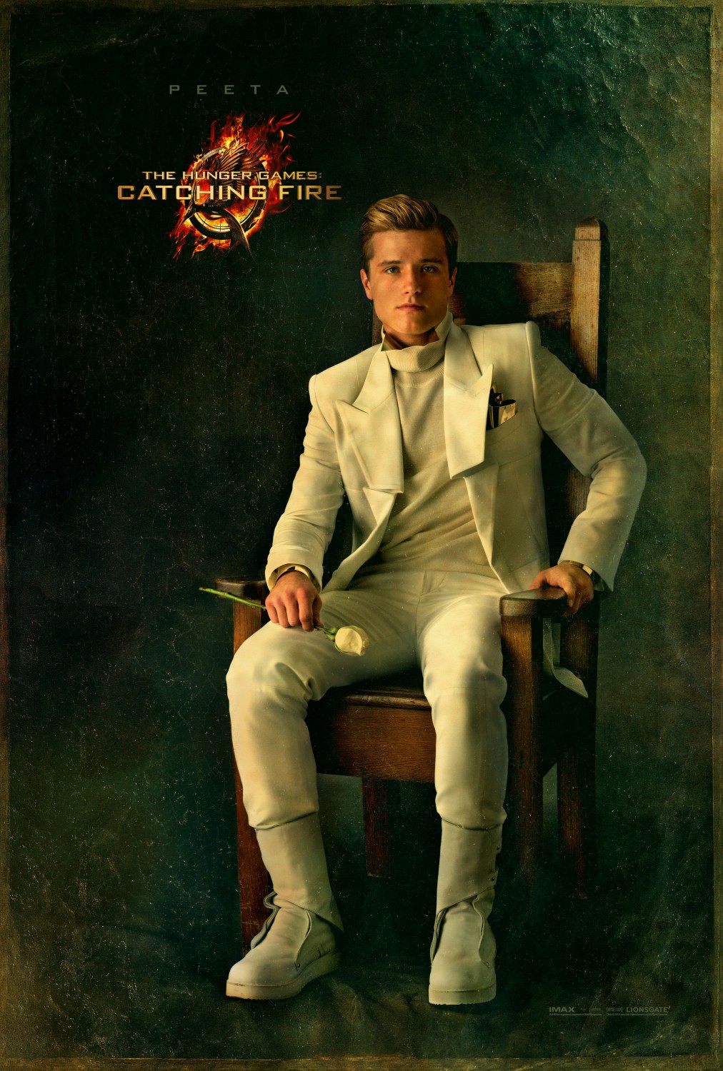 Extra Large Movie Poster Image for The Hunger Games: Catching Fire (#11 of 33)