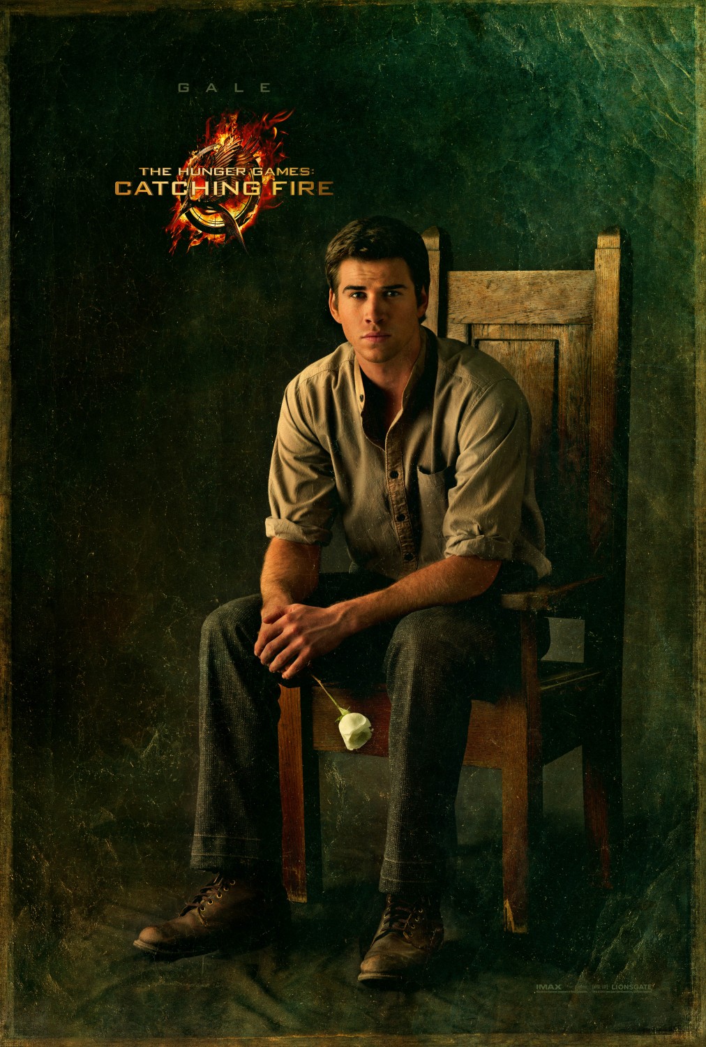 Extra Large Movie Poster Image for The Hunger Games: Catching Fire (#12 of 33)