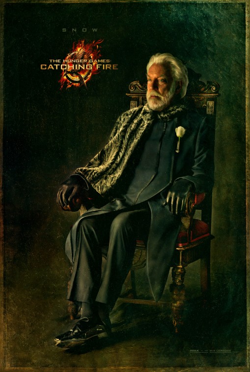 The Hunger Games: Catching Fire Movie Poster