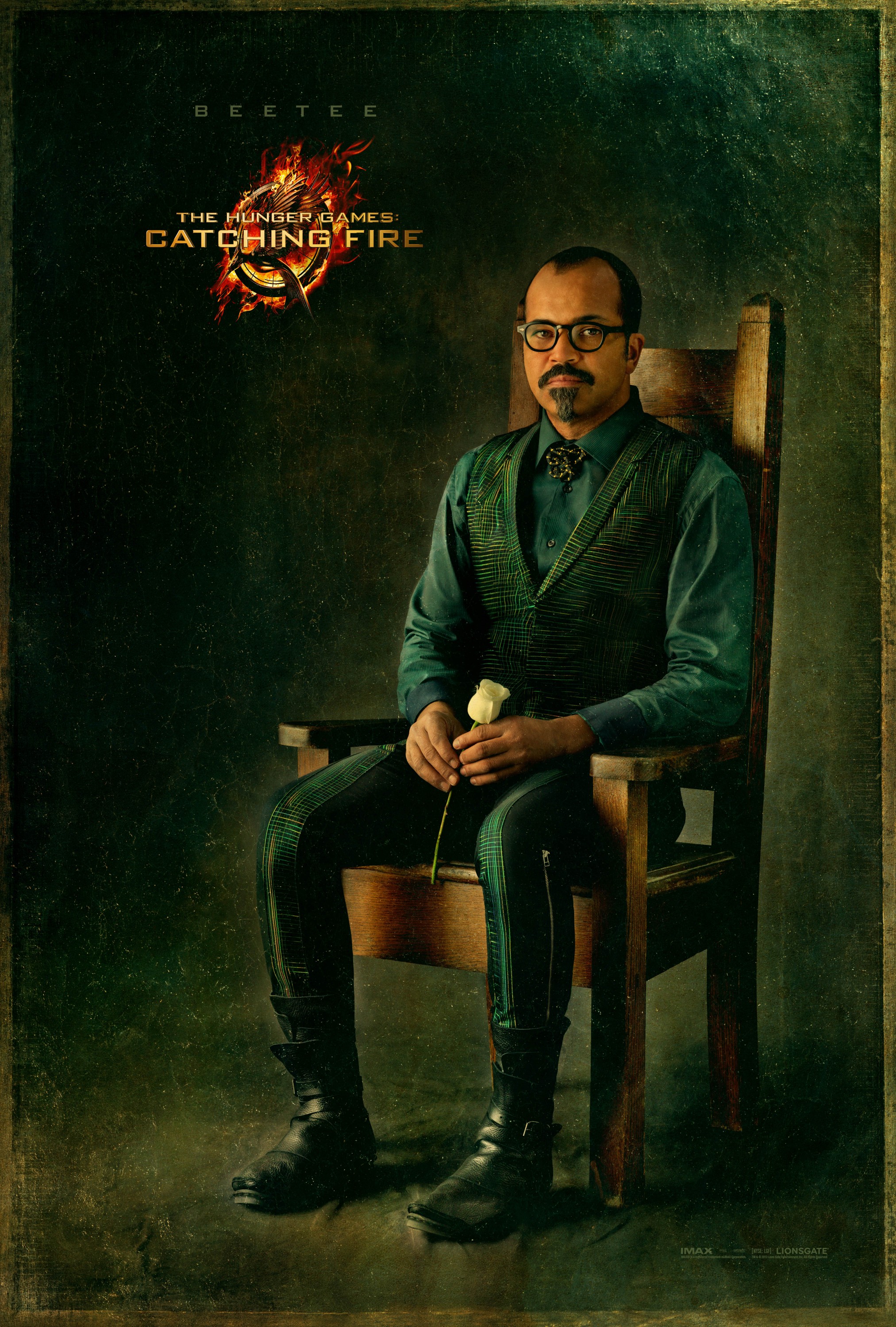 Mega Sized Movie Poster Image for The Hunger Games: Catching Fire (#9 of 33)