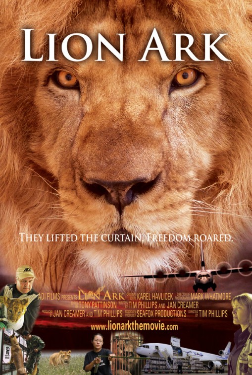 Online 2016 Lion Cinema