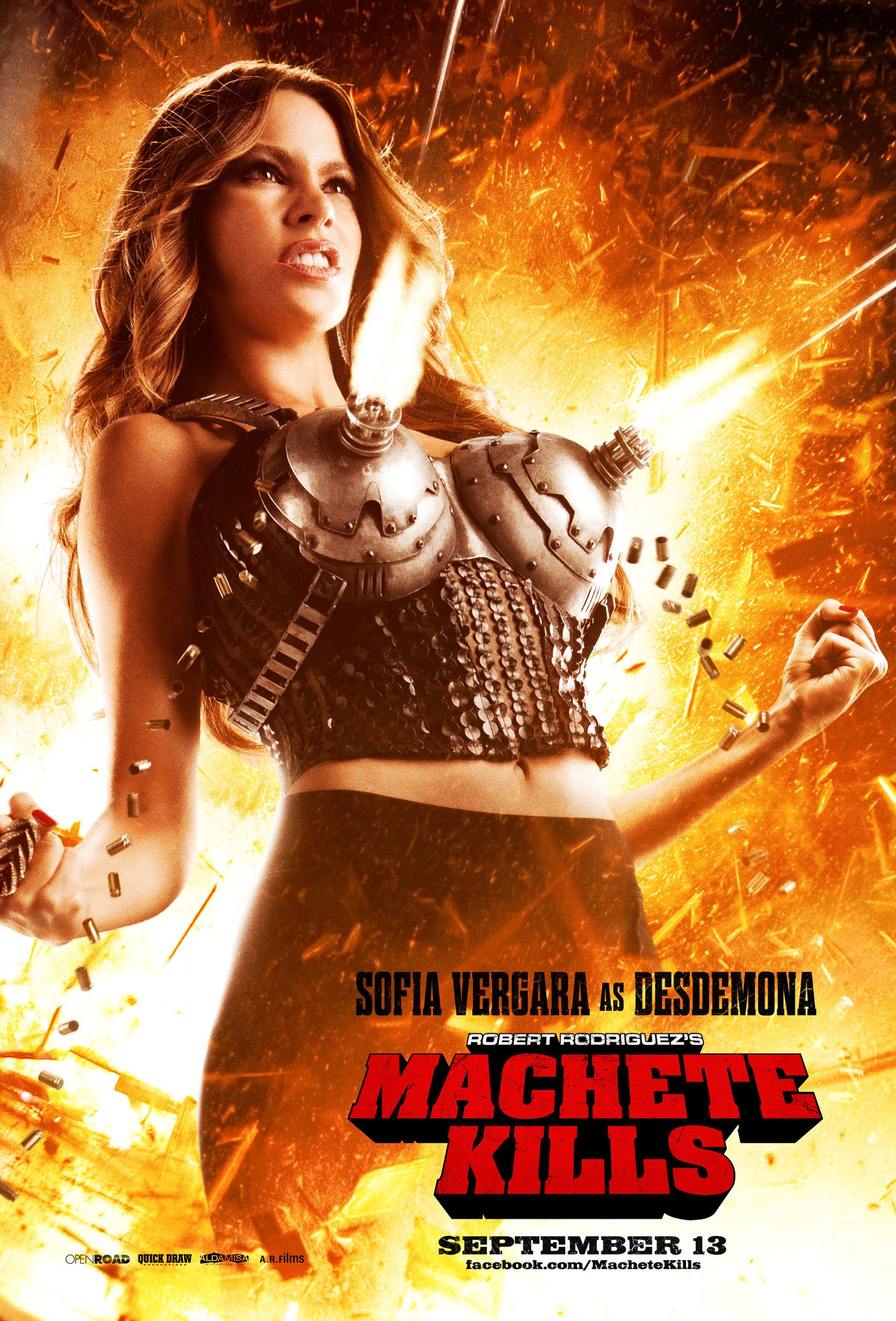 Mega Sized Movie Poster Image for Machete Kills (#5 of 27)