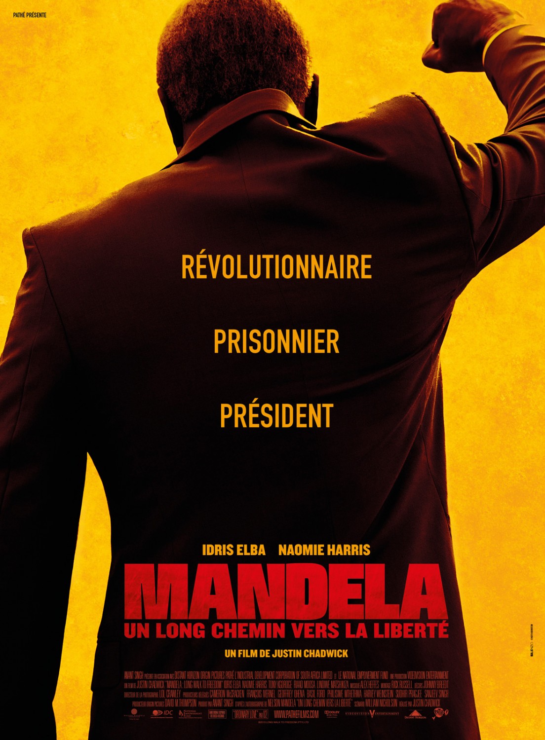 Extra Large Movie Poster Image for Mandela: Long Walk to Freedom (#7 of 8)