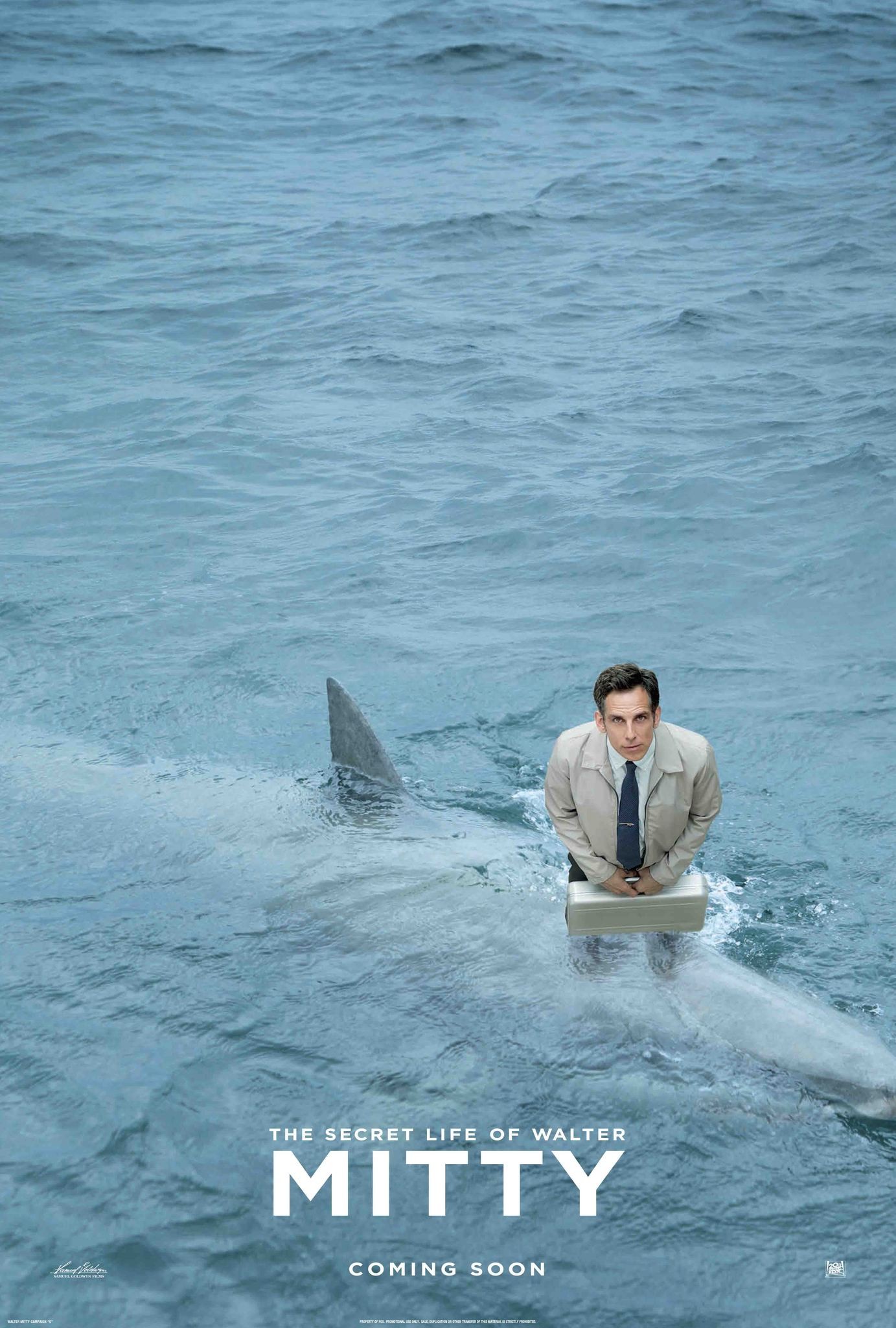 Mega Sized Movie Poster Image for The Secret Life of Walter Mitty (#3 of 10)