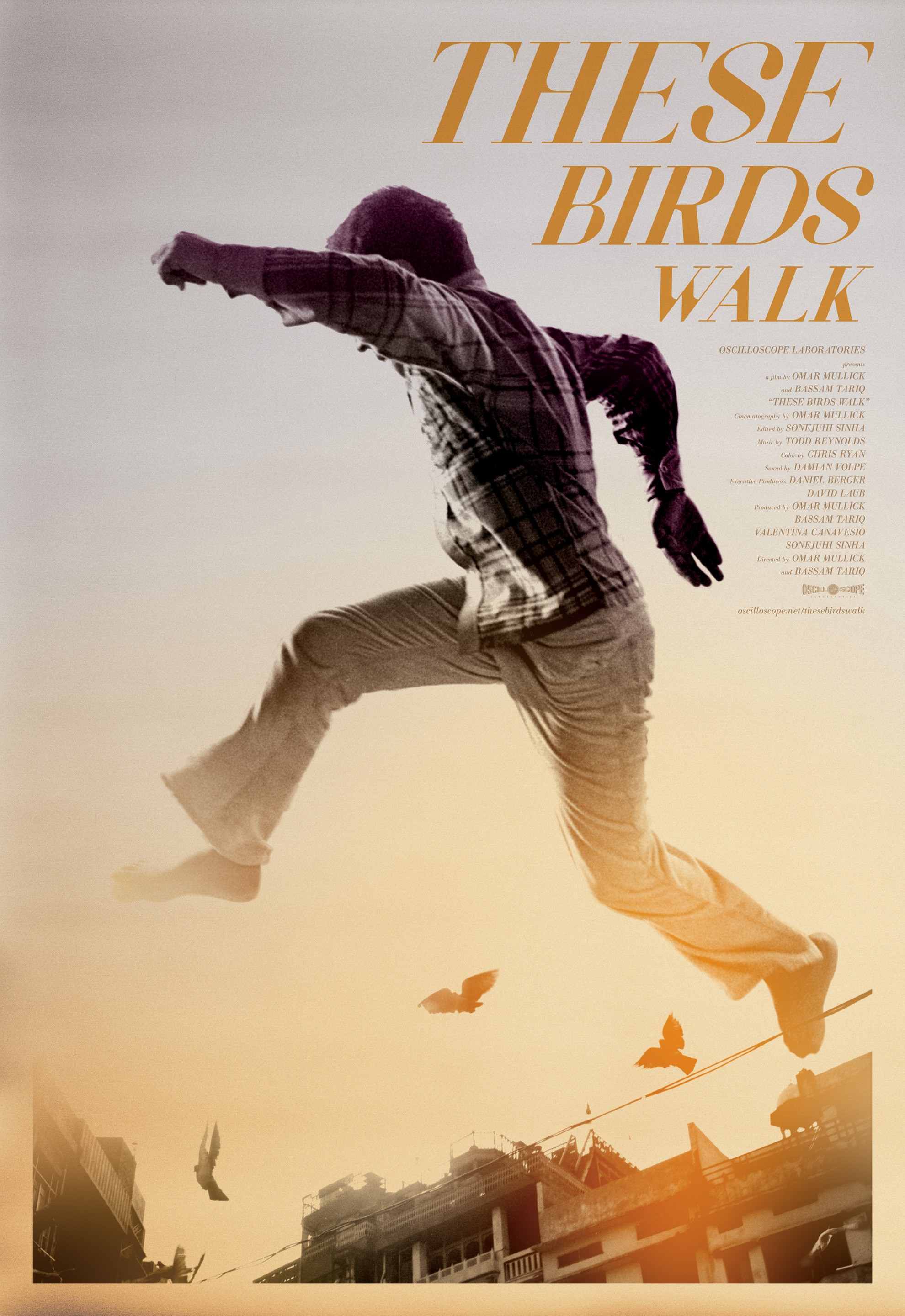 Mega Sized Movie Poster Image for These Birds Walk (#2 of 2)