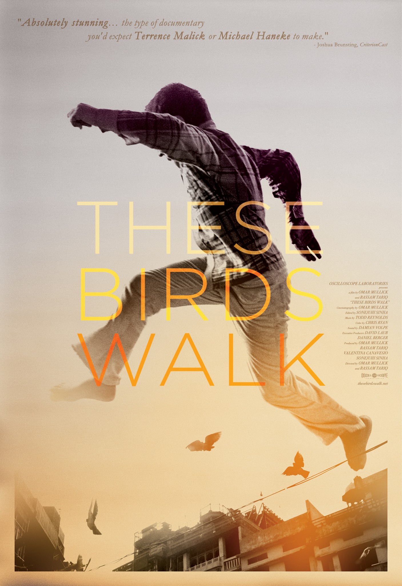 Mega Sized Movie Poster Image for These Birds Walk (#1 of 2)