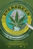 Evergreen: The Road to Legalization in Washington (2013) Thumbnail
