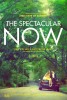 The Spectacular Now (2013) Thumbnail