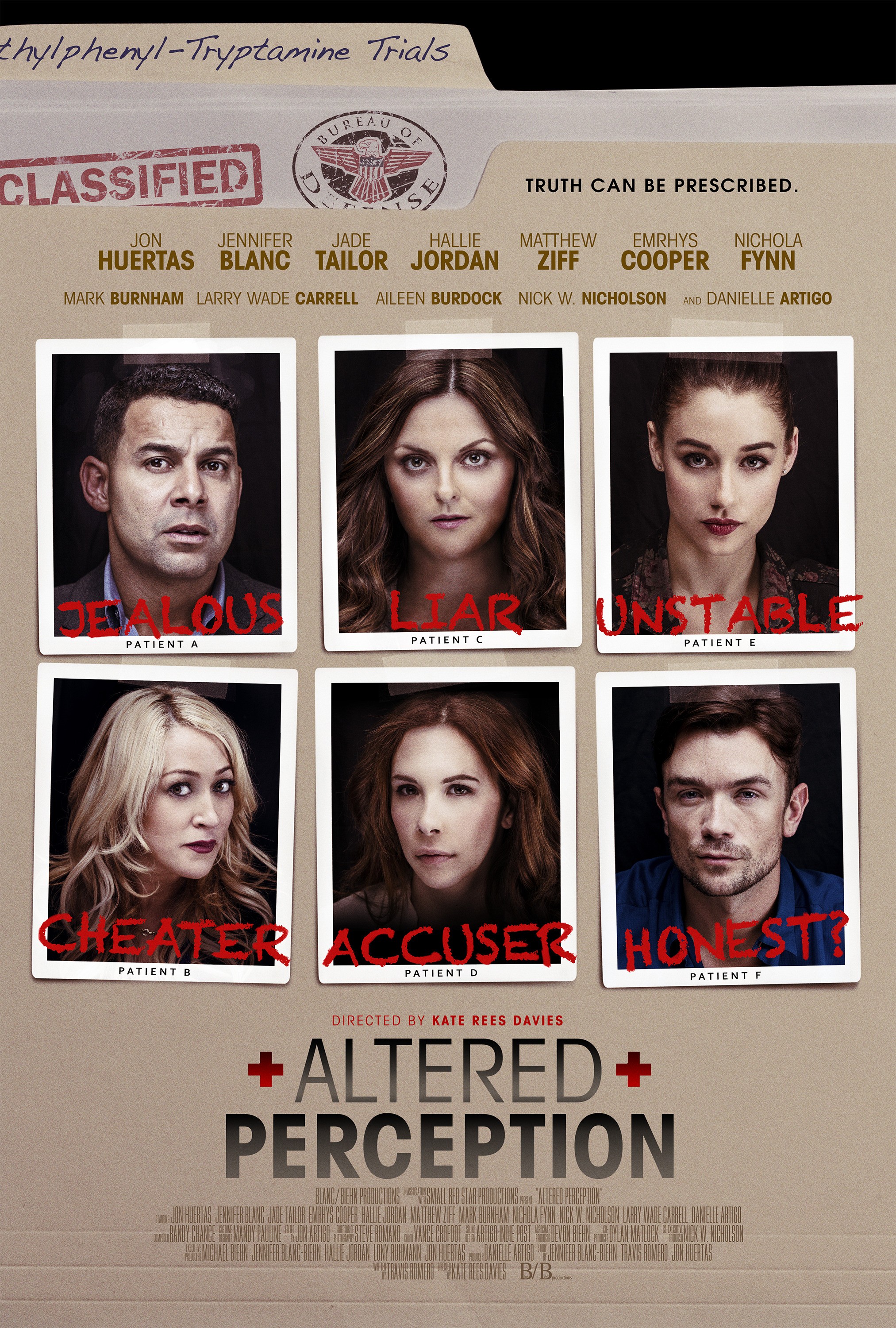 Mega Sized Movie Poster Image for Altered Perception (#2 of 2)