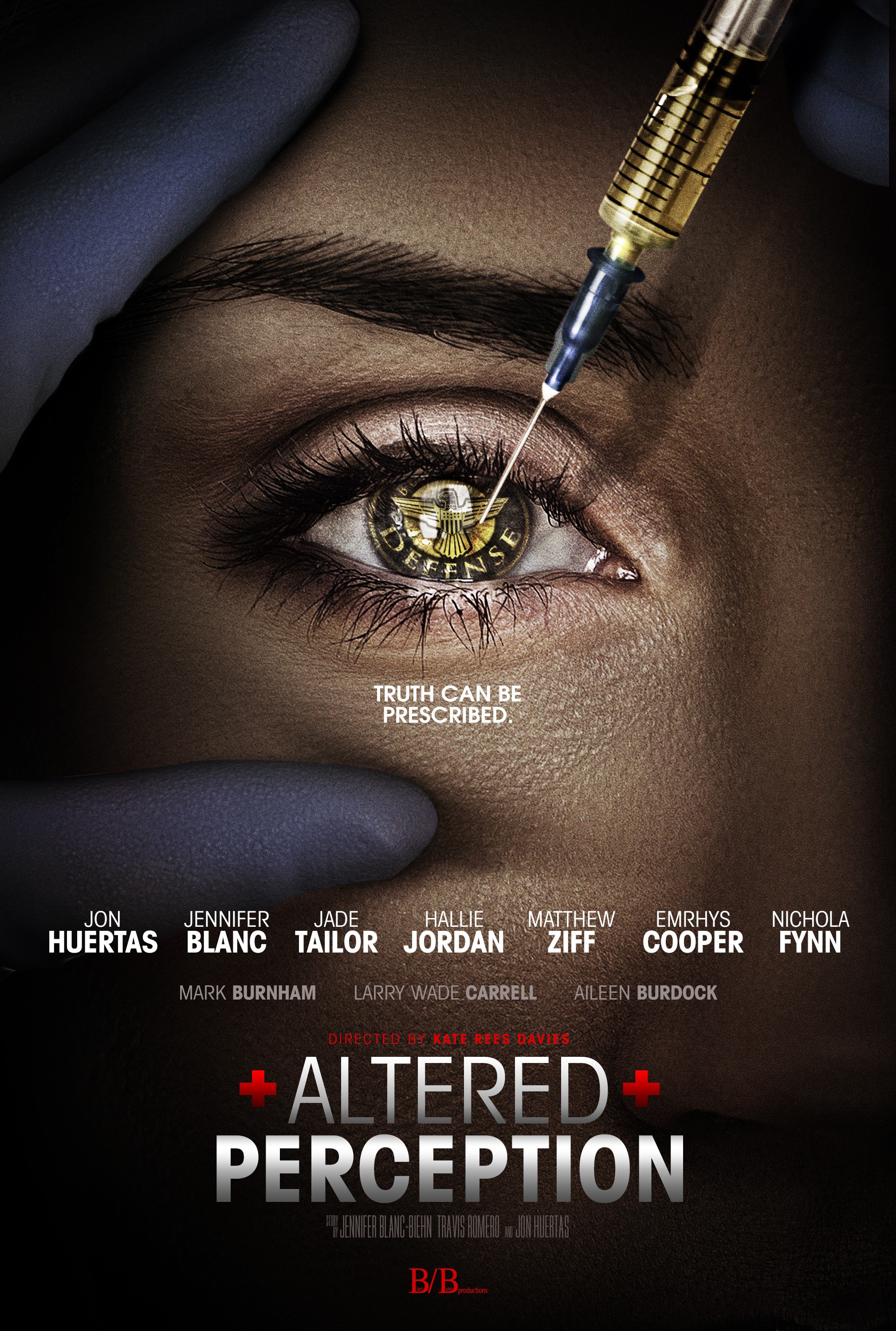 Mega Sized Movie Poster Image for Altered Perception (#1 of 2)