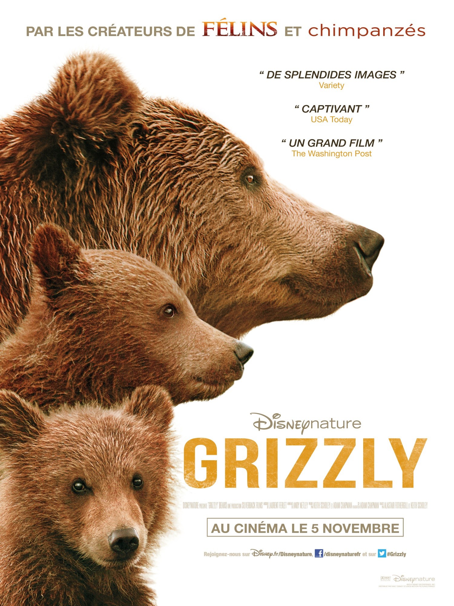 Mega Sized Movie Poster Image for Bears (#3 of 3)