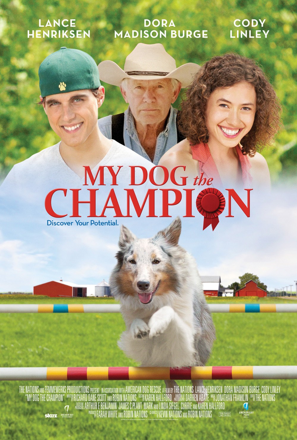 Extra Large Movie Poster Image for Champion 