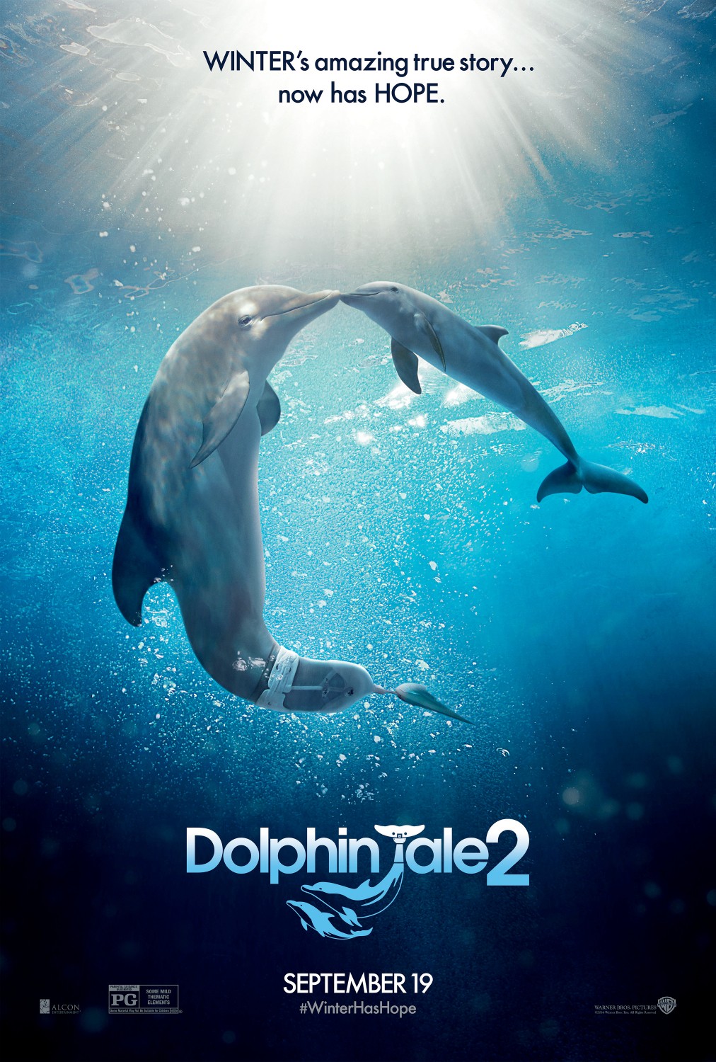 Extra Large Movie Poster Image for Dolphin Tale 2 (#1 of 4)