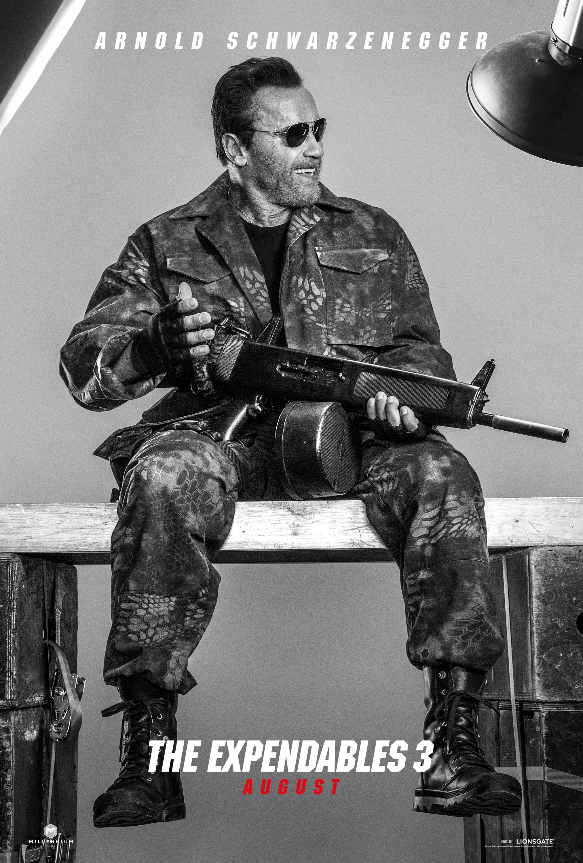 Mega Sized Movie Poster Image for The Expendables 3 (#15 of 39)