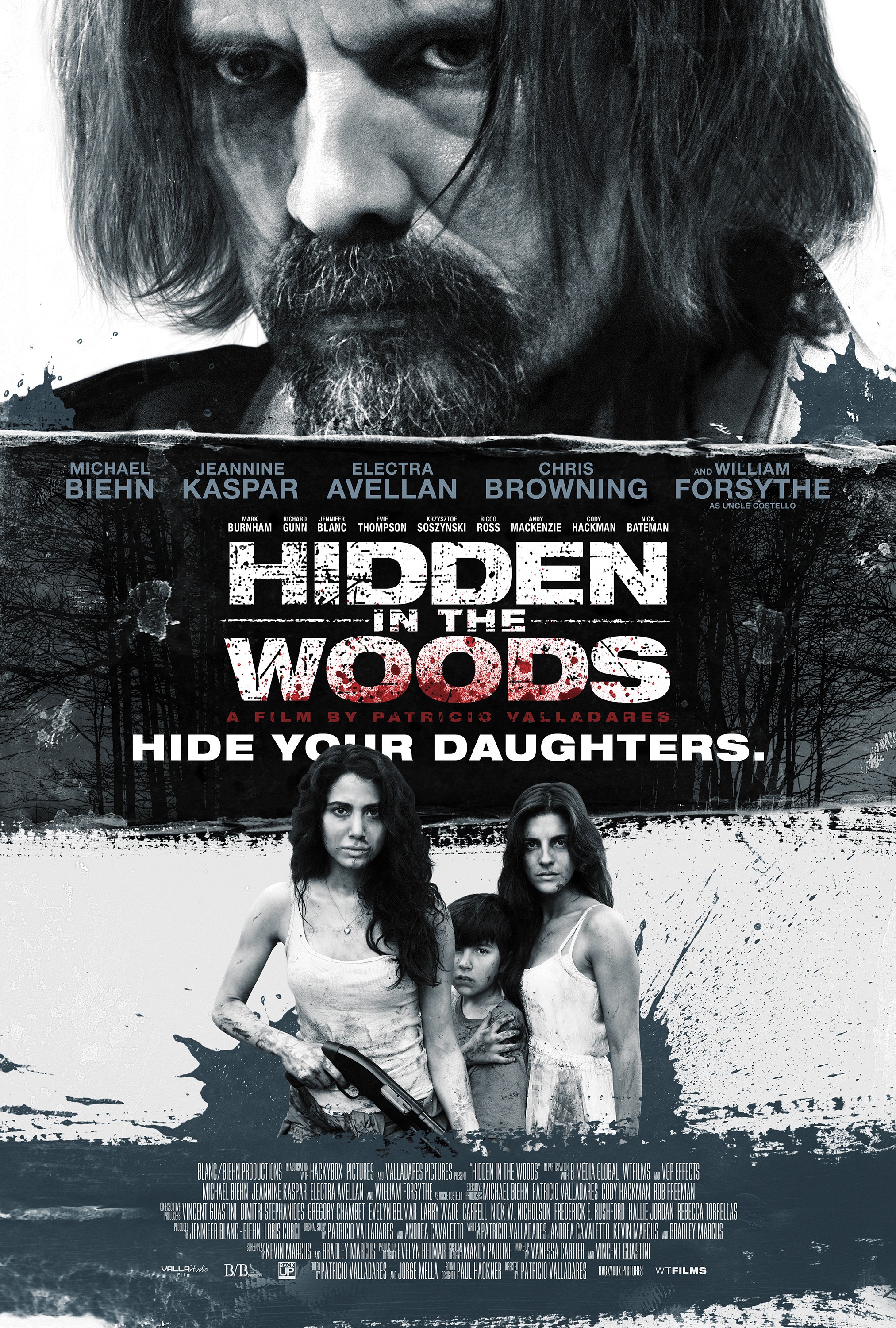 Mega Sized Movie Poster Image for Hidden in the Woods (#3 of 3)