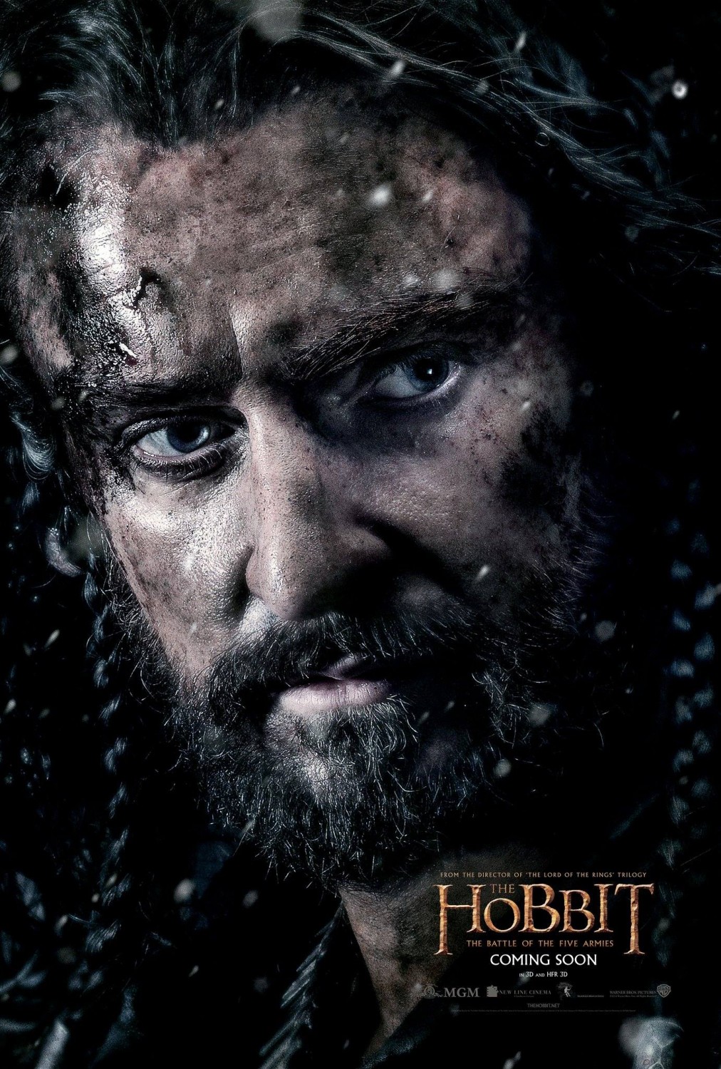 Extra Large Movie Poster Image for The Hobbit: The Battle of the Five Armies (#9 of 28)