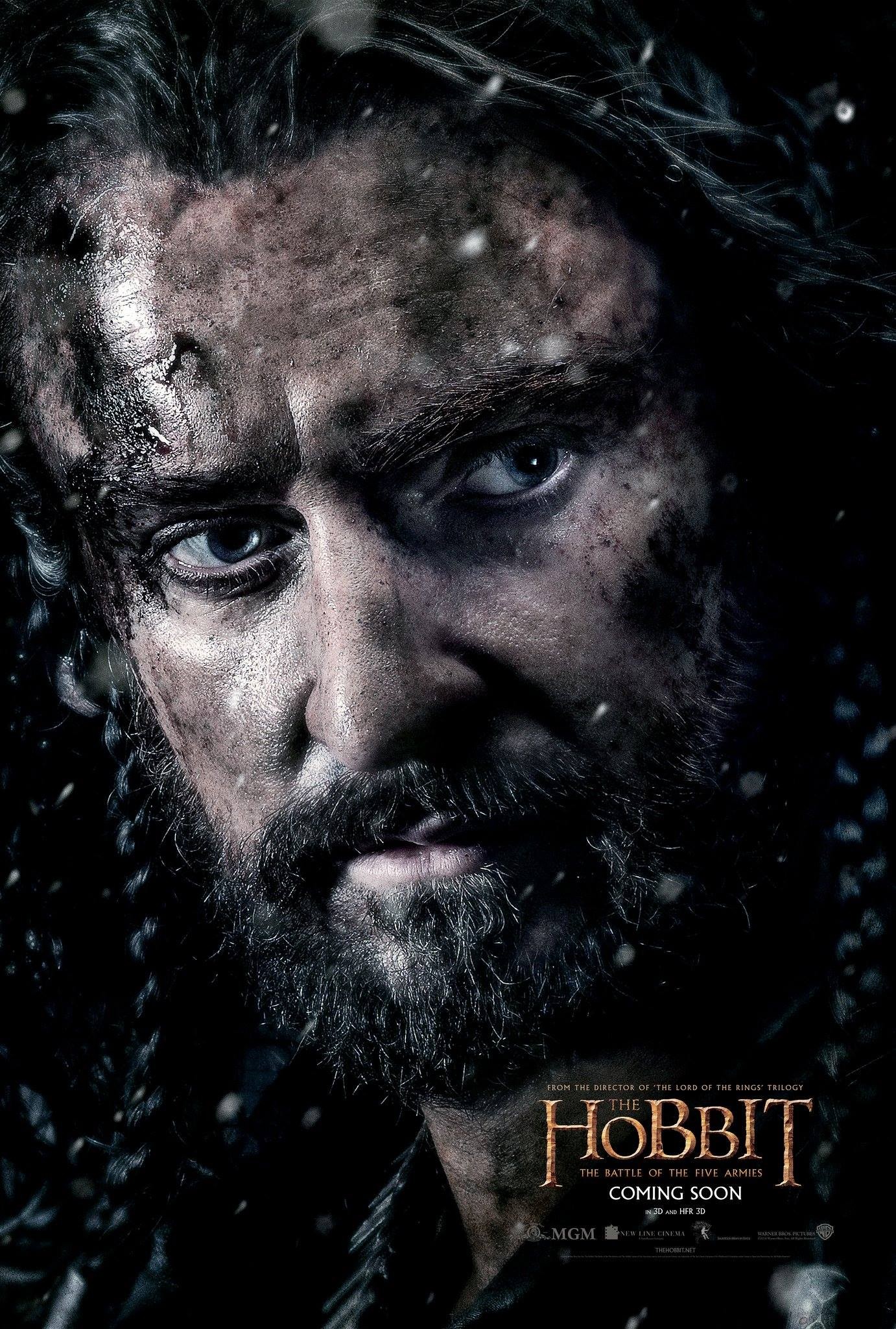 Mega Sized Movie Poster Image for The Hobbit: The Battle of the Five Armies (#9 of 28)