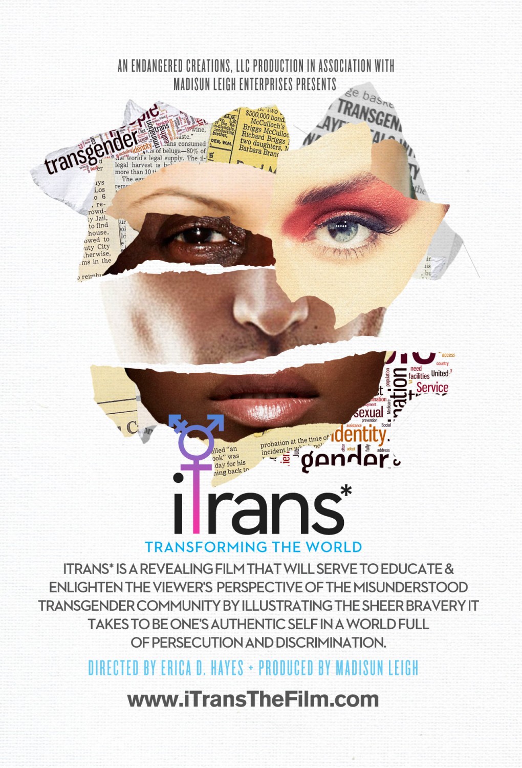 Extra Large Movie Poster Image for iTrans* 
