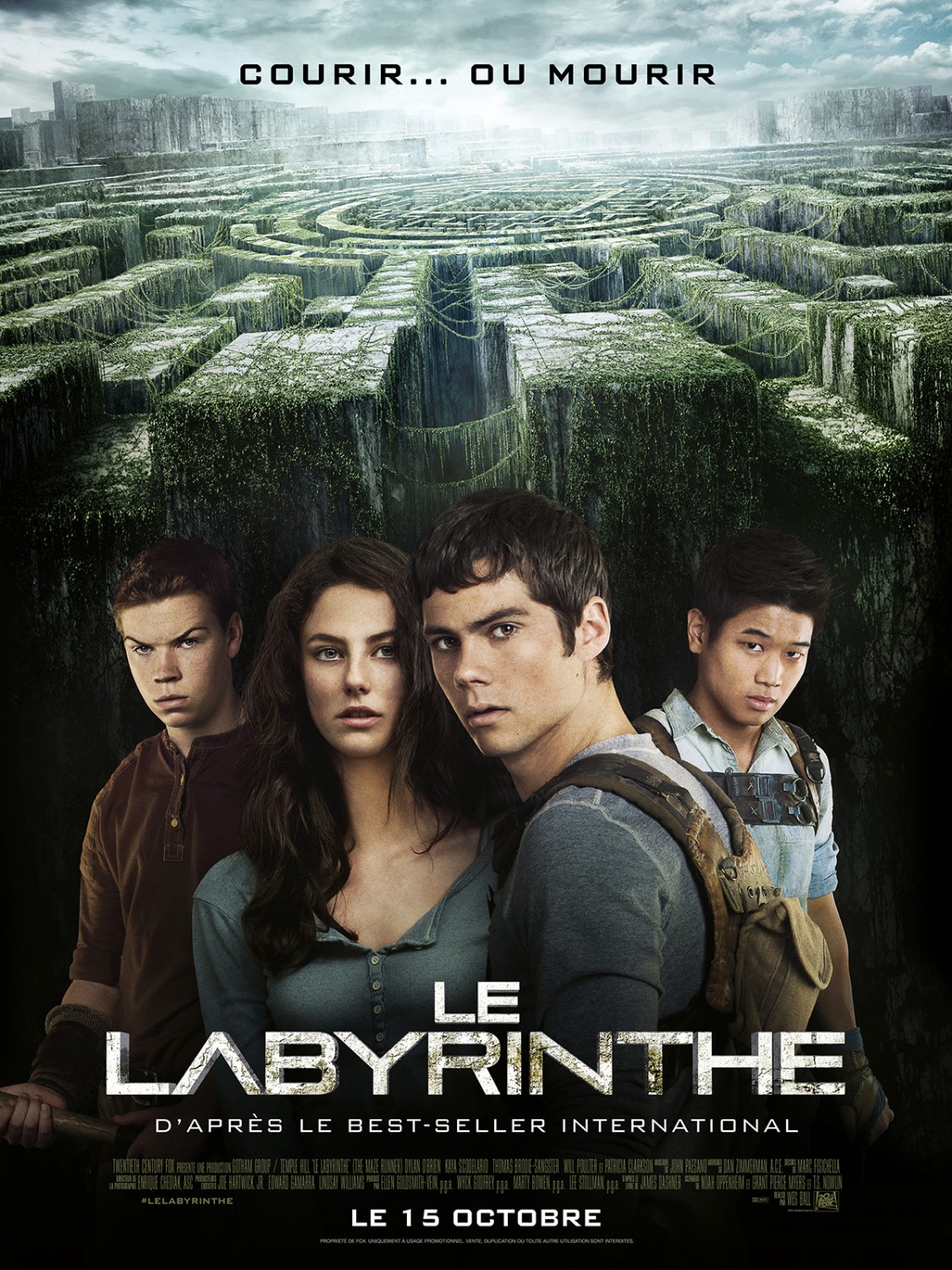Extra Large Movie Poster Image for The Maze Runner (#24 of 24)