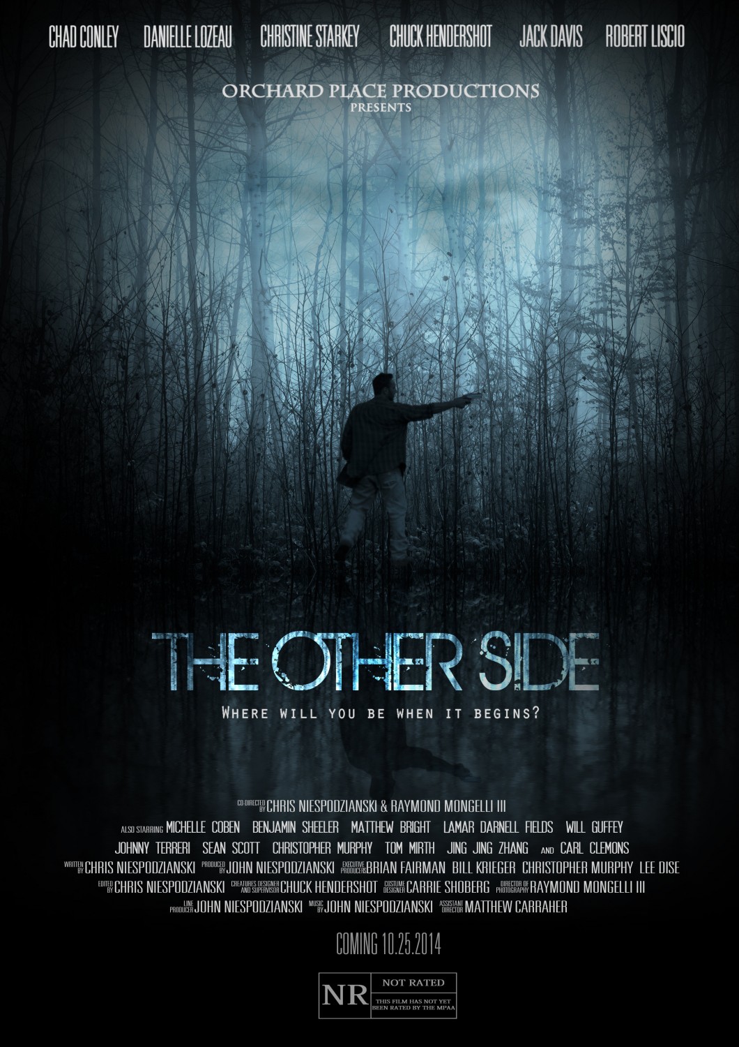 Extra Large Movie Poster Image for The Other Side 