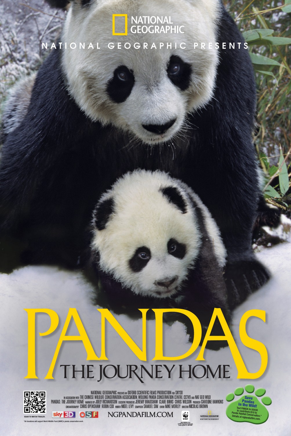 Extra Large Movie Poster Image for Pandas: The Journey Home 