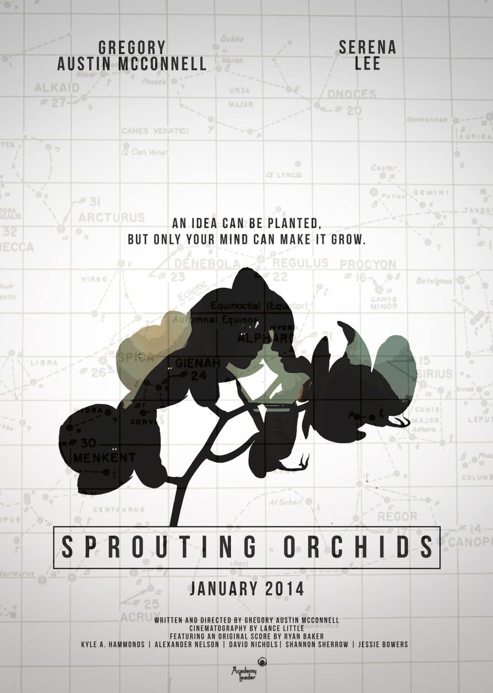 Extra Large Movie Poster Image for Sprouting Orchids 