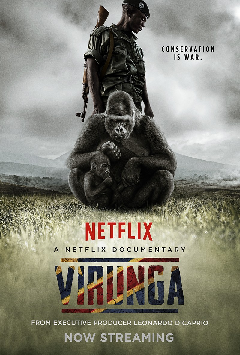Extra Large Movie Poster Image for Virunga (#2 of 2)