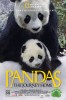 Pandas: The Journey Home (2014) Thumbnail