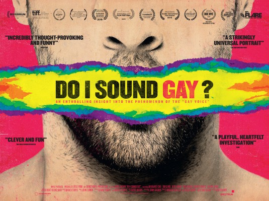 Do I Sound Gay? Movie Poster