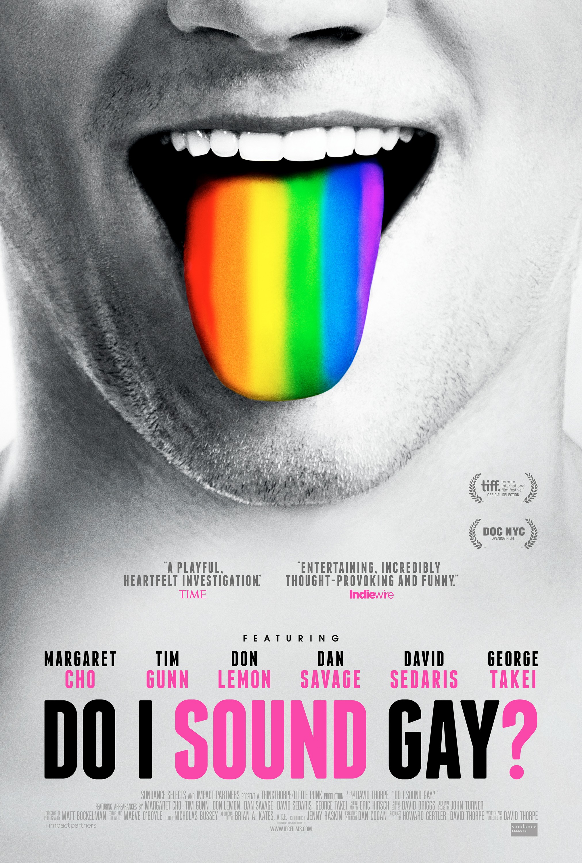 Mega Sized Movie Poster Image for Do I Sound Gay? (#1 of 2)