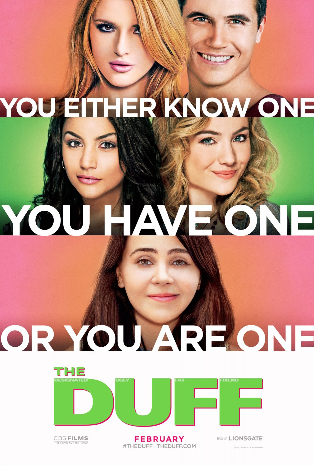 Extra Large Movie Poster Image for The DUFF (#1 of 8)