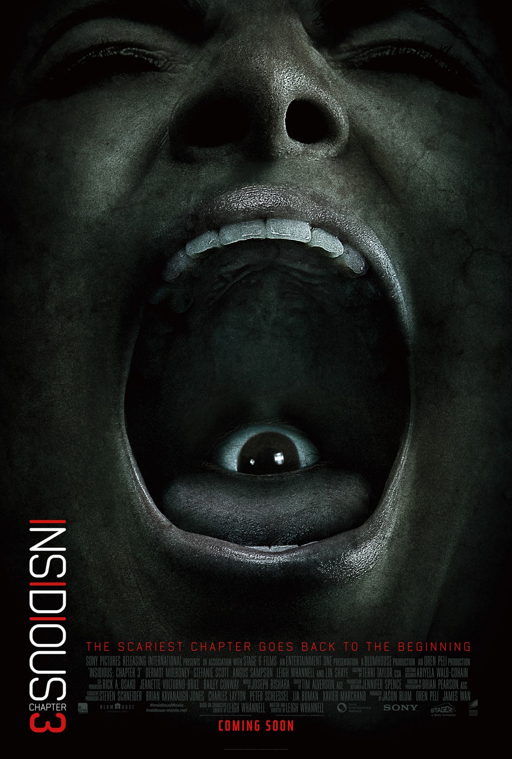 Extra Large Movie Poster Image for Insidious: Chapter 3 (#4 of 8)