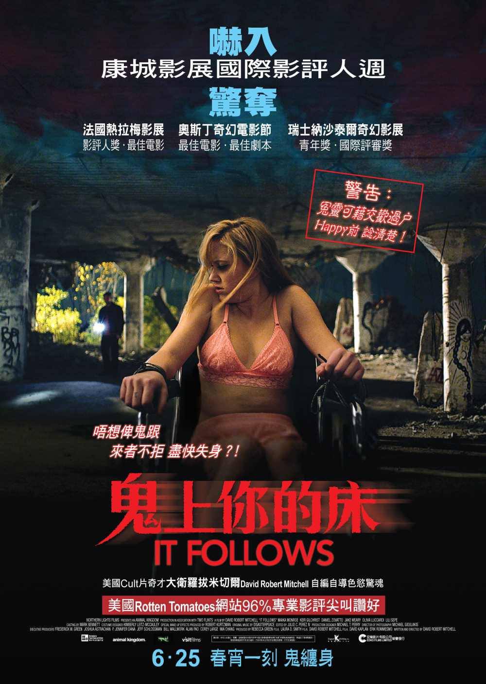 Extra Large Movie Poster Image for It Follows (#11 of 12)
