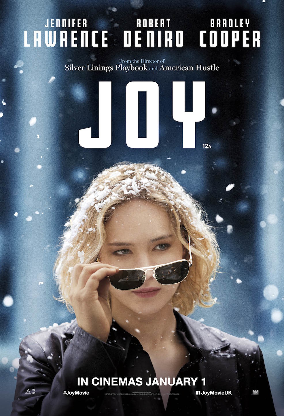 Extra Large Movie Poster Image for Joy (#2 of 5)
