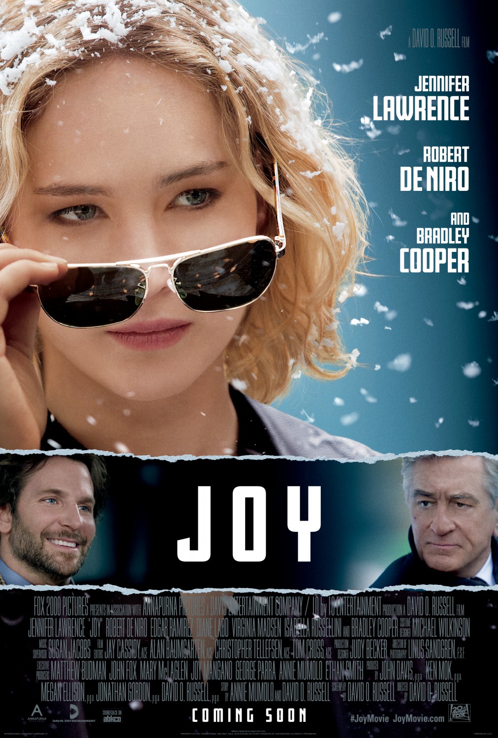 Extra Large Movie Poster Image for Joy (#3 of 5)